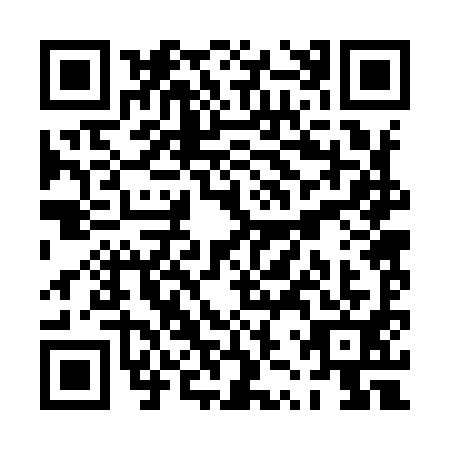 QR code for PZR-9913