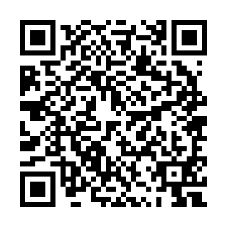 QR code for PZZ-2913