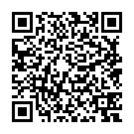 QR code for QAP-8382
