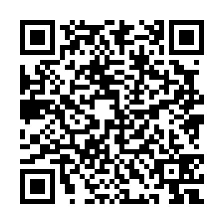 QR code for plate QDH-0393