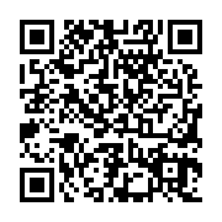 QR code for QEU9653