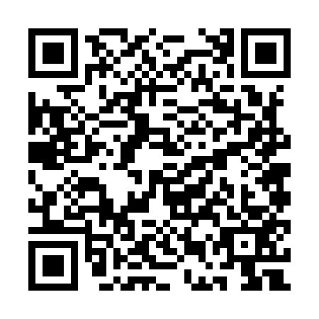 QR code for QEV9533