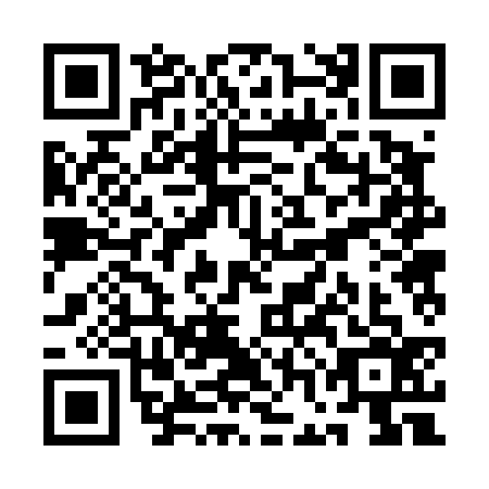 QR code for plate QGB-4369