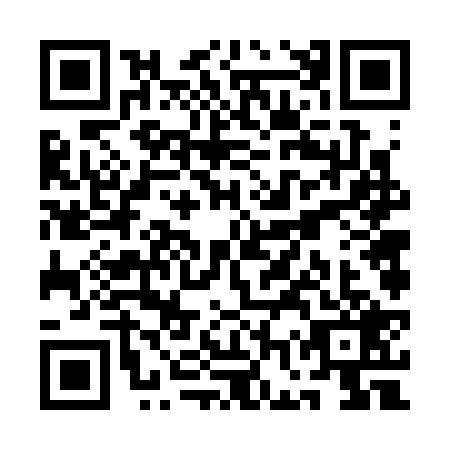 QR code for QGV3295