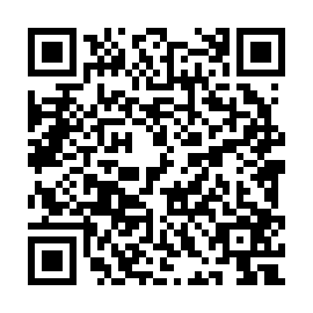 QR code for QHL-2063