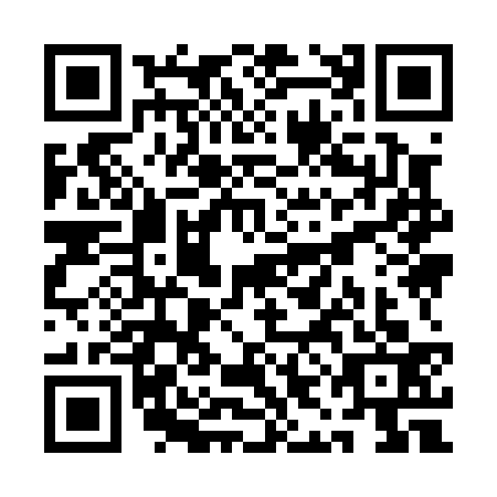 QR code for QII-0335