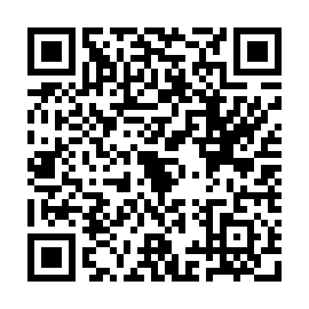 QR code for plate QIW-4119