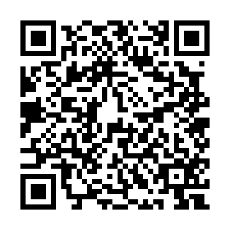 QR code for QLG-0163
