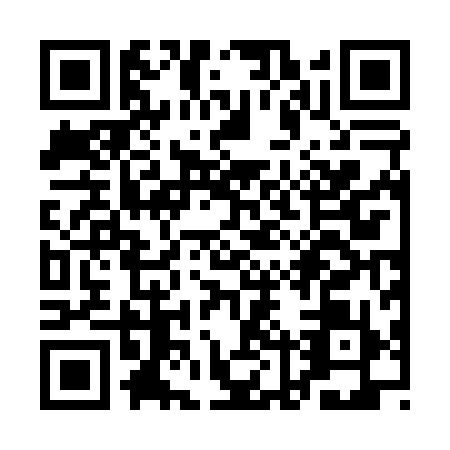 QR code for QLR-0991