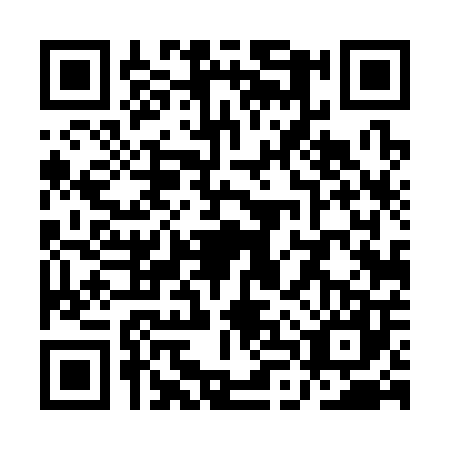 QR code for QLT-3070