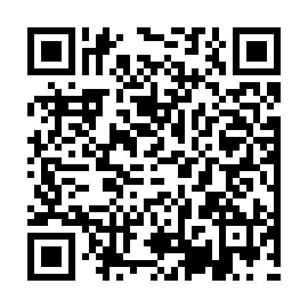 QR code for QPS-2903