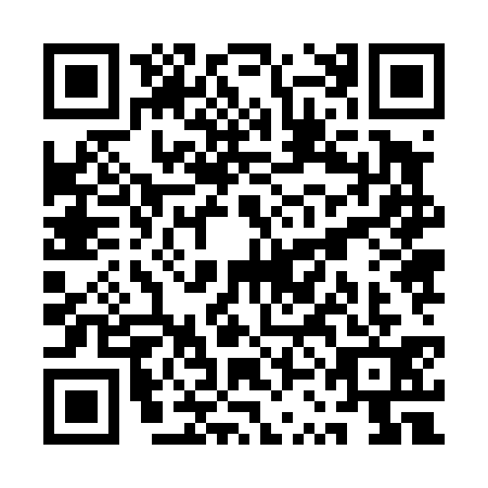 QR code for QSJ-4317
