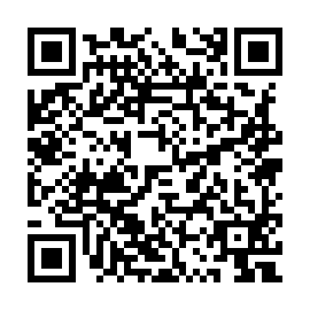QR code for plate QSQ-9920