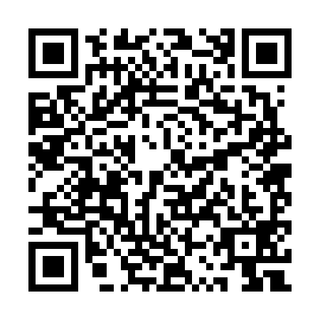 QR code for plate QSR-6991
