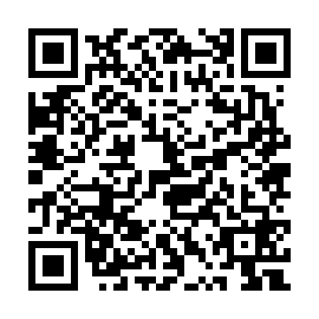 QR code for plate QTZ-6685