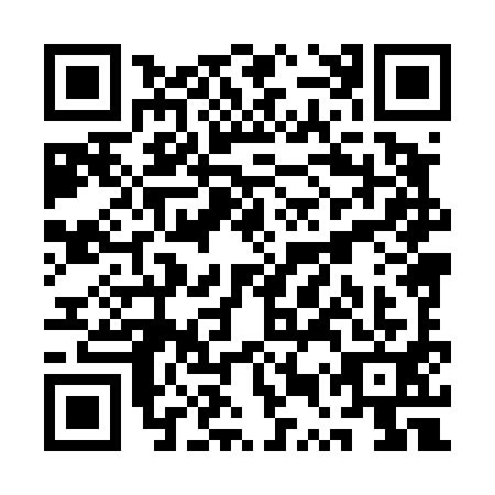 QR code for QUX-4919