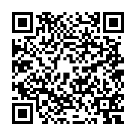 QR code for plate QVS-5119