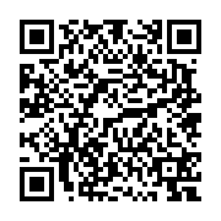 QR code for plate QWJ-4205