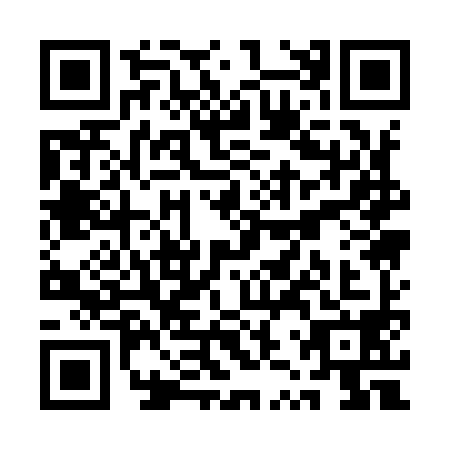QR code for QZQ-9986