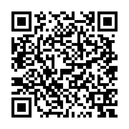 QR code for QZZ4729