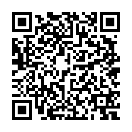 QR code for plate RAU-4203