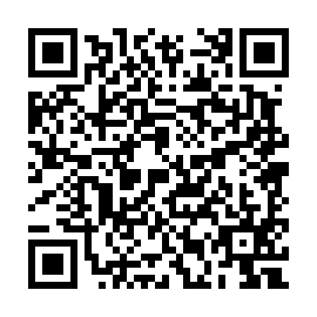 QR code for REP4955