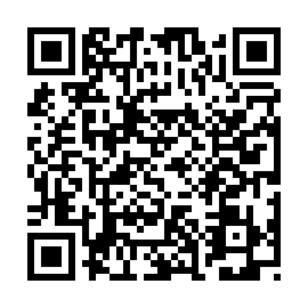 QR code for plate RGD-0399