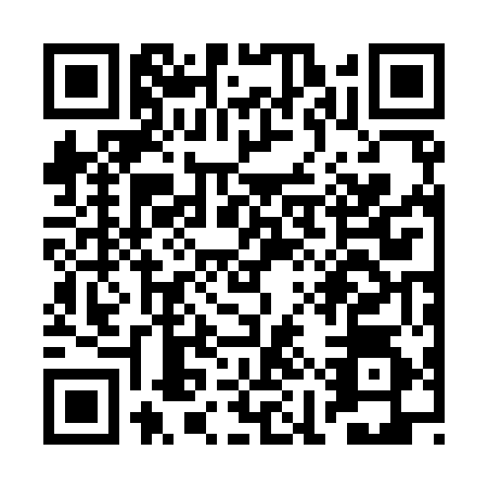 QR code for plate RIR-9543