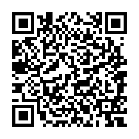 QR code for plate RMN-3907