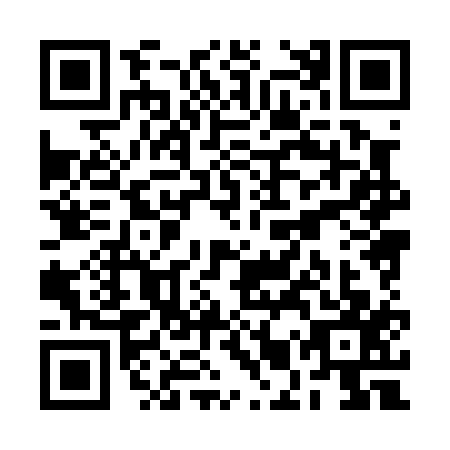 QR code for RMX0171