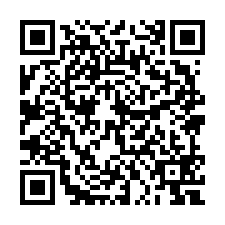 QR code for RPI-6993