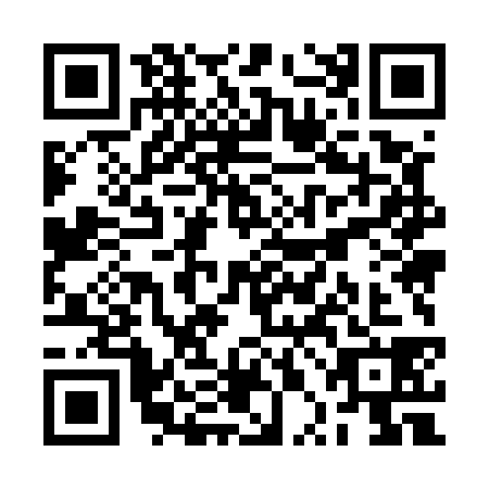 QR code for plate RPM-5383