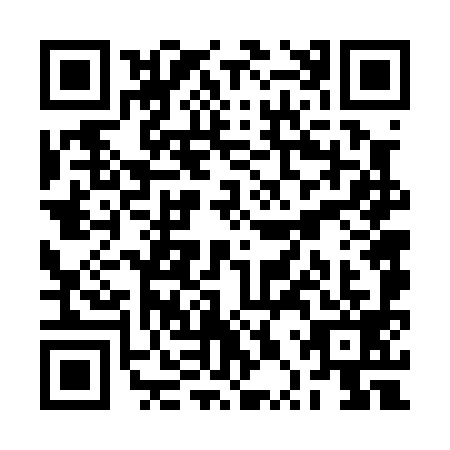 QR code for RPV-0991