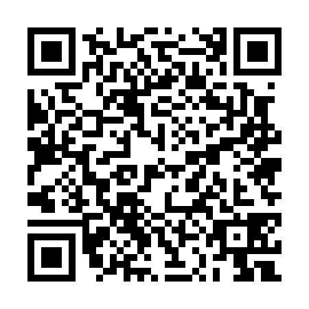 QR code for RSE0385