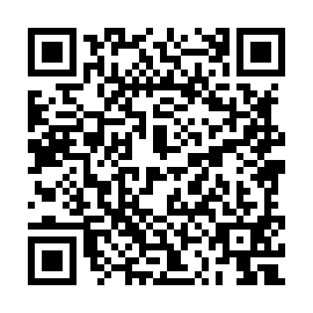QR code for RSH-8919