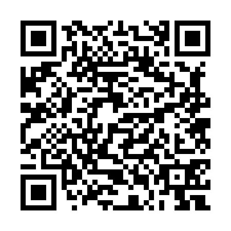 QR code for RUB8700