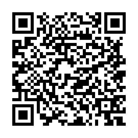 QR code for RUE-8729