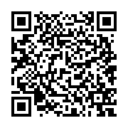 QR code for RUN-6377