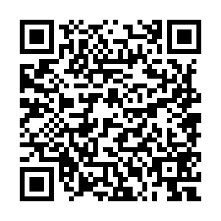 QR code for plate RUN-9596