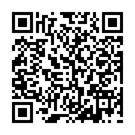 QR code for RXZ-8739