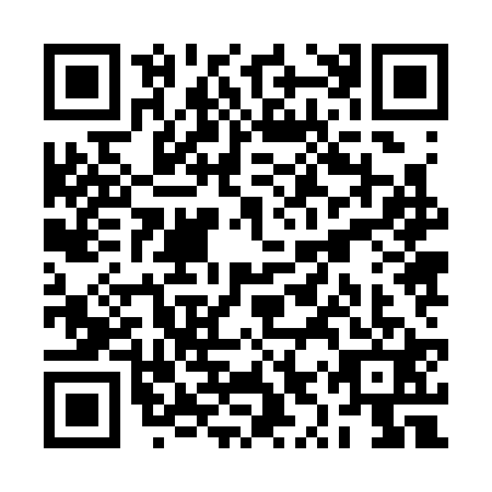 QR code for plate RYZ-3210