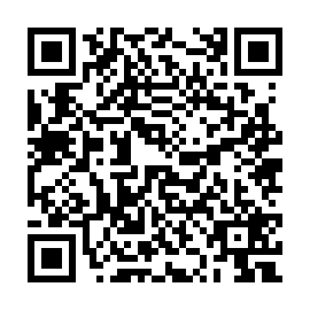 QR code for RZJ-3291