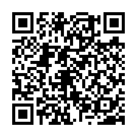 QR code for RZM-6389