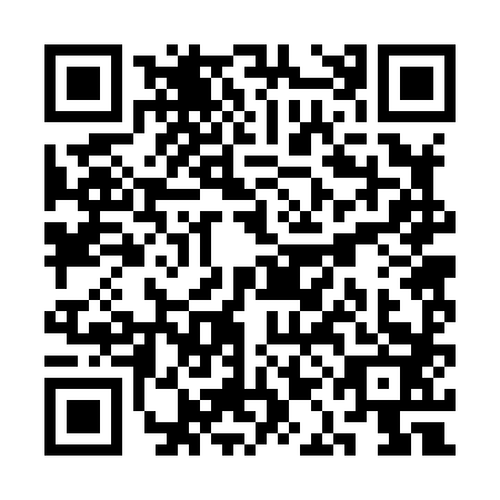 QR code for plate SAB-8833