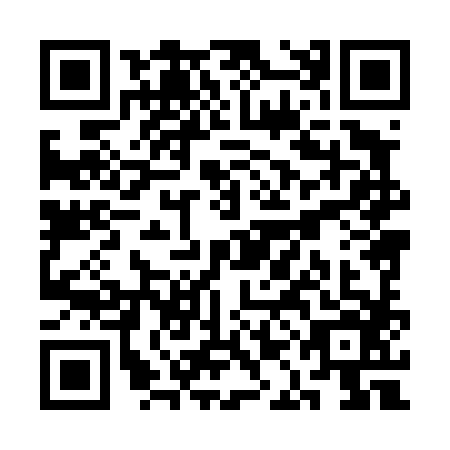 QR code for plate SAH-4863