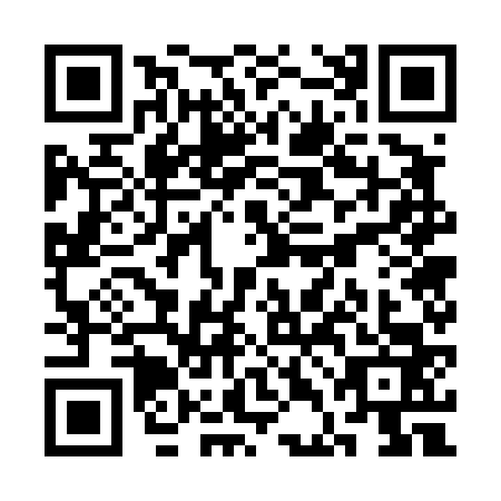 QR code for SDG-4638