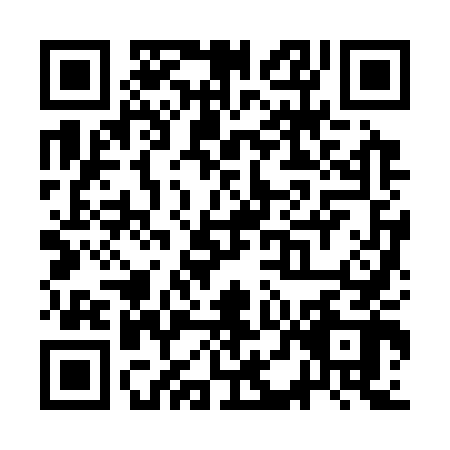 QR code for plate SDJ-3428