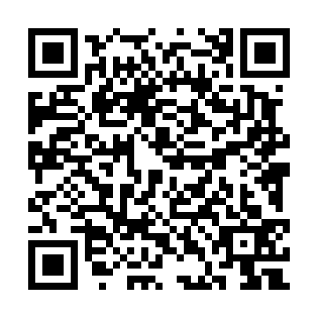 QR code for plate SDL-4335
