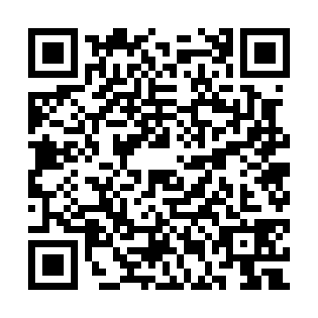 QR code for SEG-0385