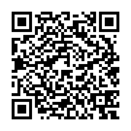 QR code for SEG-6382